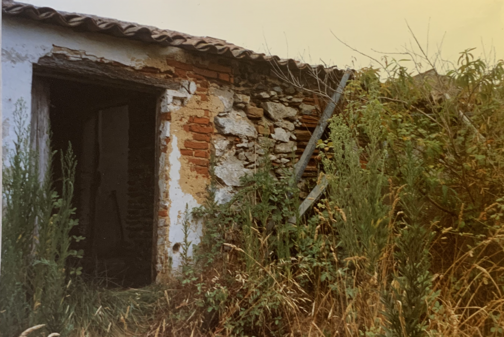 Die Casa Bettina als Ruine
